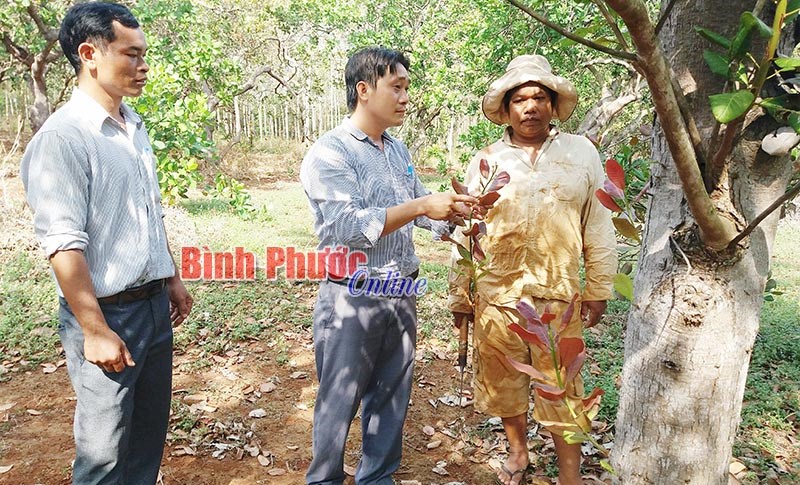 Quỹ Hỗ trợ nông dân giúp nhà nông vượt khó