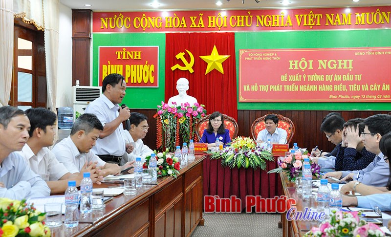 Giải ph&aacute;p t&aacute;i cơ cấu ng&agrave;nh điều, hồ ti&ecirc;u v&agrave; c&acirc;y ăn tr&aacute;i