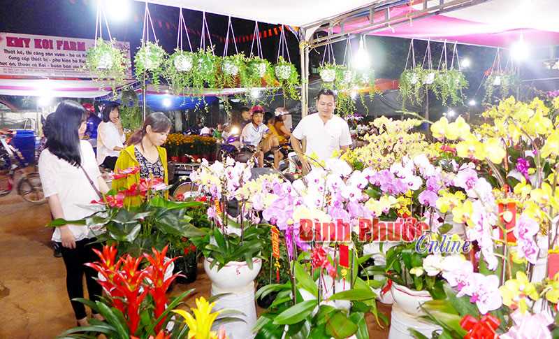 Đồng Xo&agrave;i: Nhiều hoạt động mừng Đảng, mừng xu&acirc;n Mậu Tuất