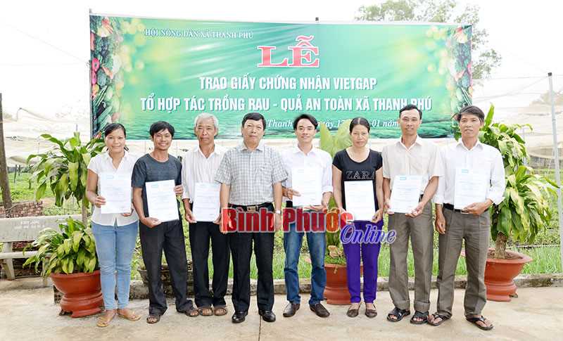 Tổ hợp tác trồng rau - quả an toàn xã Thanh Phú được chứng nhận VietGAP