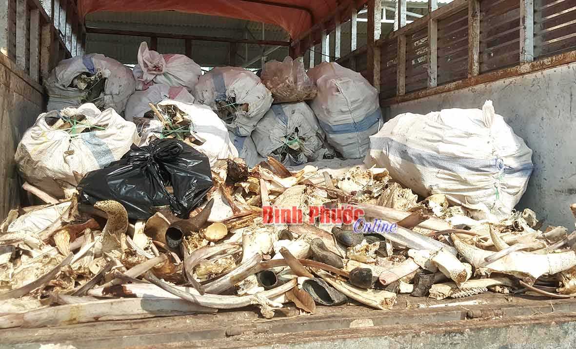 Xử phạt 1 trường hợp vận chuyển sản phẩm động vật kh&ocirc;ng đảm bảo ATTP