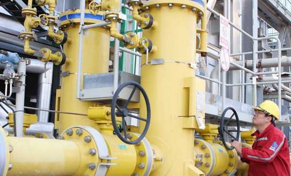 Quyết định thanh tra tài chính tại Tập đoàn Điện lực Việt Nam