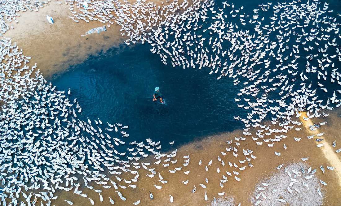 VN có 2 ảnh đoạt giải nhiếp ảnh trên không quốc tế