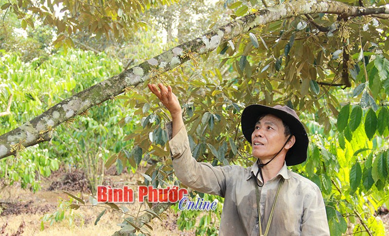 Những tấm gương người d&acirc;n tộc thiểu số&nbsp;học tập v&agrave; l&agrave;m theo b&aacute;c