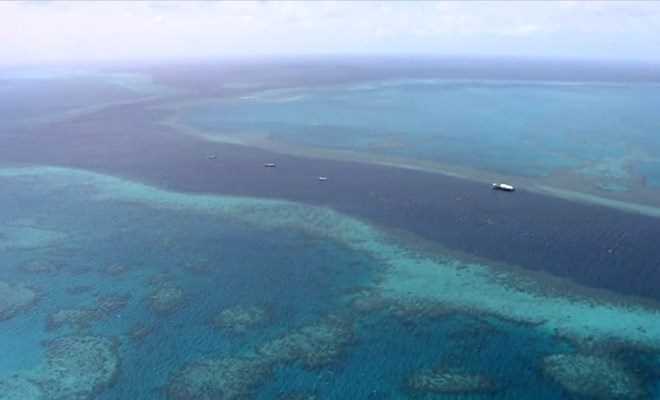 Thử nghiệm thành công lá chắn bảo vệ rạn san hô lớn nhất thế giới