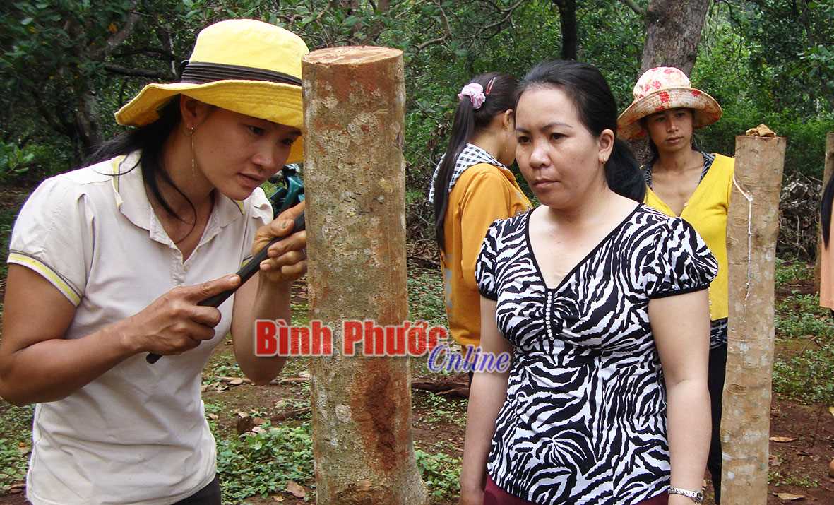 Hớn Quản: Đào tạo nghề, giải quyết việc làm cho 3.061 lao động