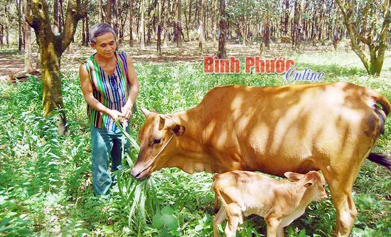 Ph&uacute; Trung chăm lo tốt đời sống đồng b&agrave;o DTTS