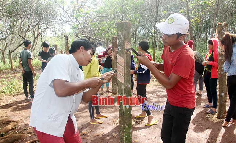 Bù Gia Mập xây dựng 264 căn nhà tặng hộ nghèo