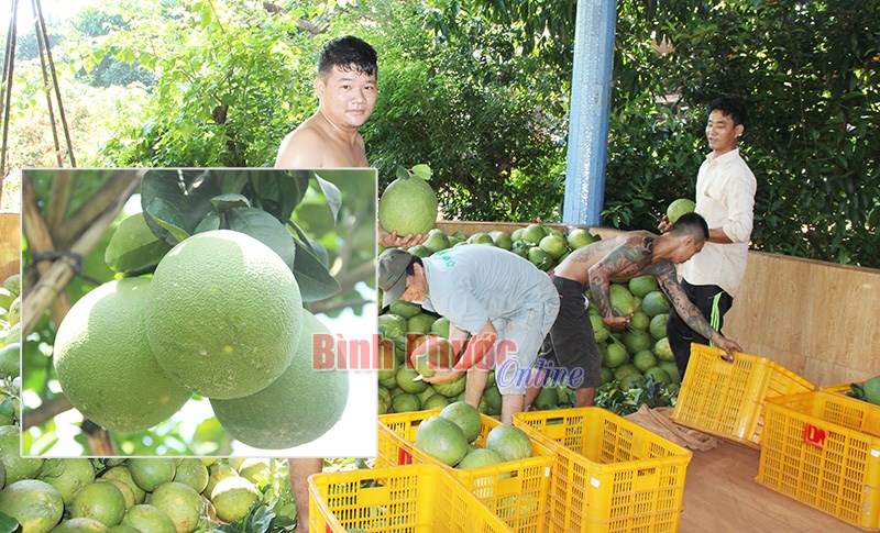 Giá trái cây cận tết tăng mạnh