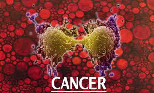 Rượu làm tổn hại chuỗi phân tử DNA, dẫn đến bệnh ung thư