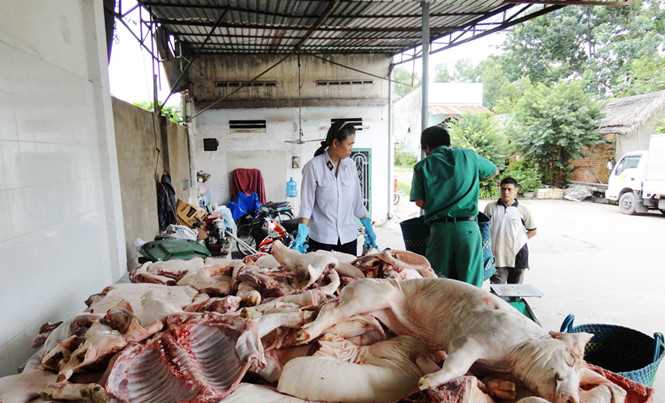 Không phát hiện trường hợp vi phạm kiểm dịch động vật