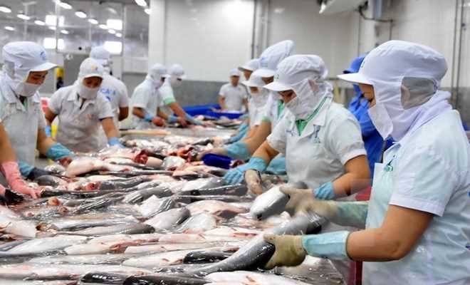 Doanh nghiệp thủy sản Việt bị ảnh hưởng thế nào vì mức thuế của Mỹ?