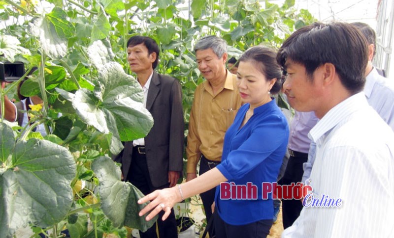 T&acirc;n Th&agrave;nh tiếp tục n&acirc;ng cao chuẩn NTM