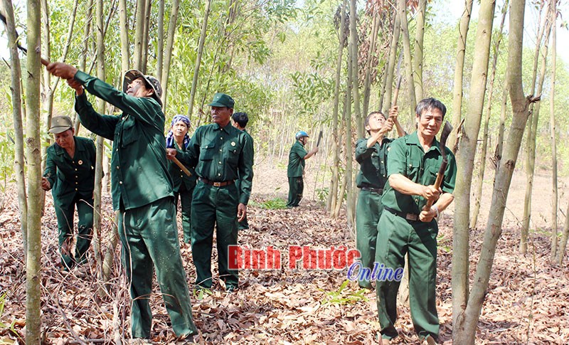 Cựu chiến binh Thanh An học B&aacute;c trồng c&acirc;y g&acirc;y quỹ