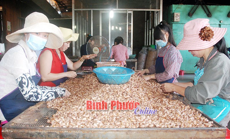 Cơ sở sản xuất được tự công bố sản phẩm
