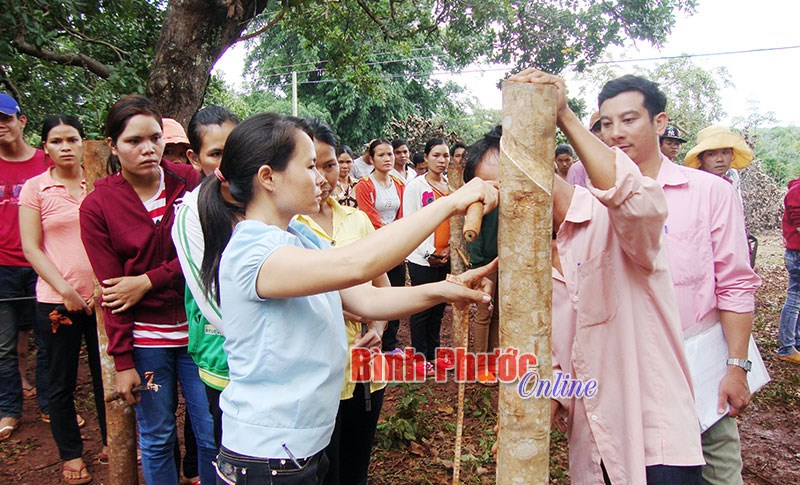 Thụ lý giải quyết khiếu nại về giáo dục nghề nghiệp, việc làm