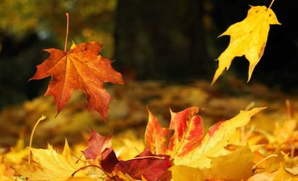 Một cuộc tiễn đưa thầm lặng