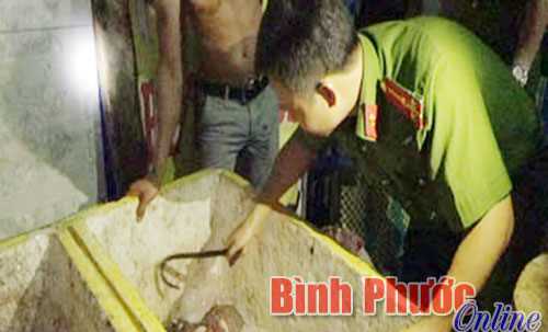 Ph&aacute;t hiện thịt heo đ&atilde; bốc m&ugrave;i h&ocirc;i