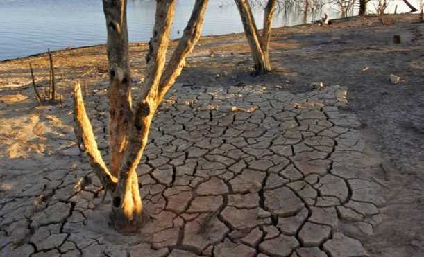 Gần một nửa các loài sinh vật có nguy cơ biến mất hoàn toàn