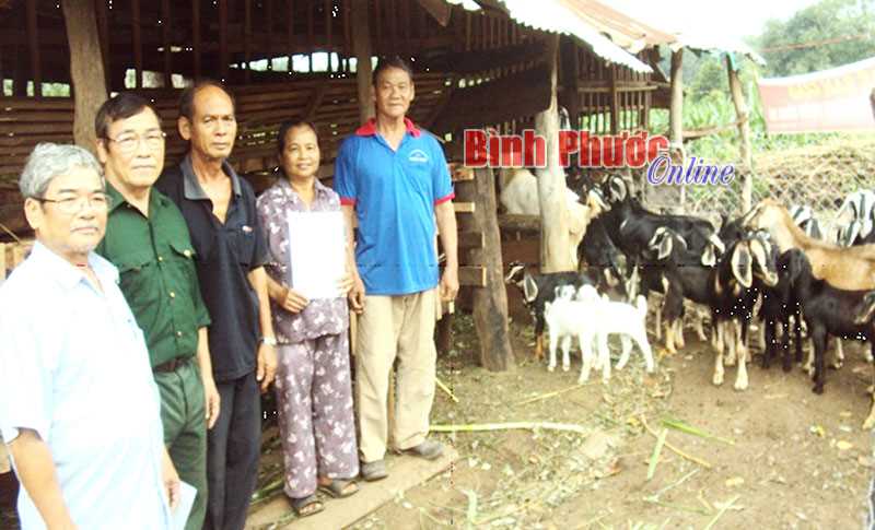 Trao “cần câu” theo hướng bền vững