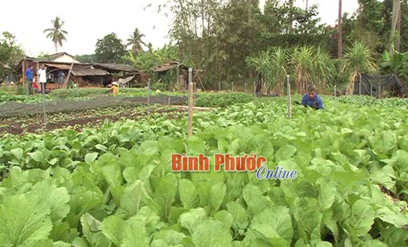 Đất ít, thu lời cao