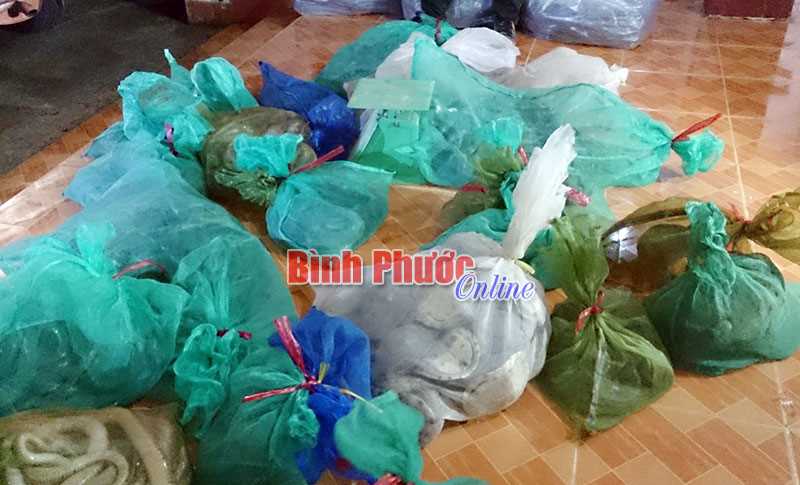 Bắt xe vận chuyển động vật tr&aacute;i ph&eacute;p