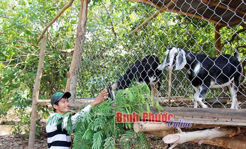 Tuổi trẻ Tân Thành chung sức xây dựng NTM