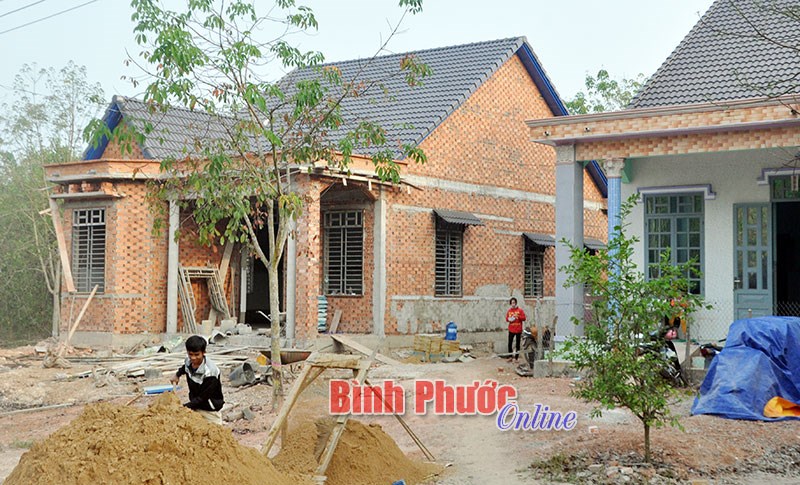 Vì sao việc cấp “sổ đỏ” đất lâm nghiệp giao về địa phương chậm tiến độ?