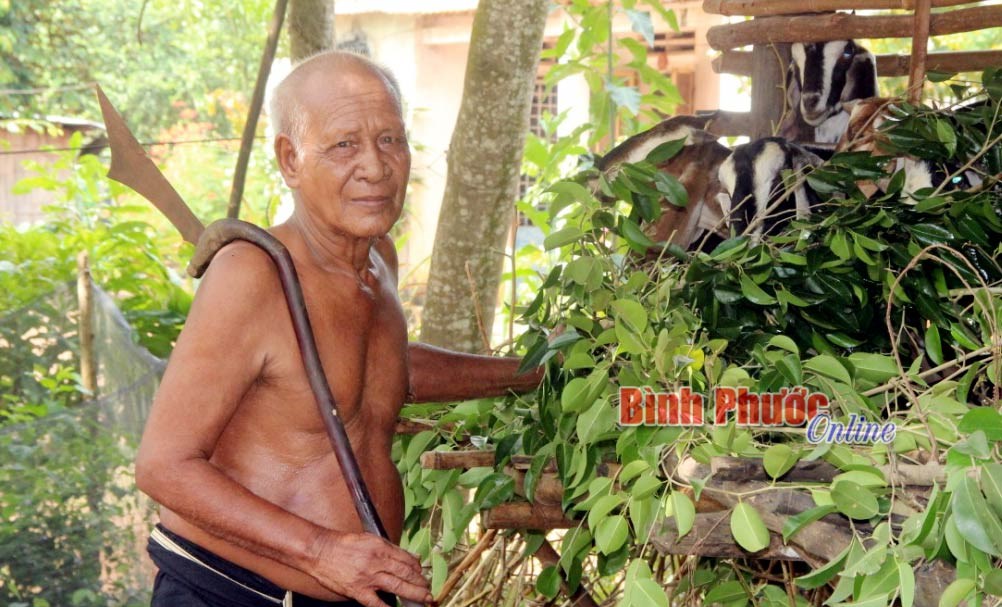 Già làng Điểu Nắng -​​​​​​​ Cổ thụ vùng biên