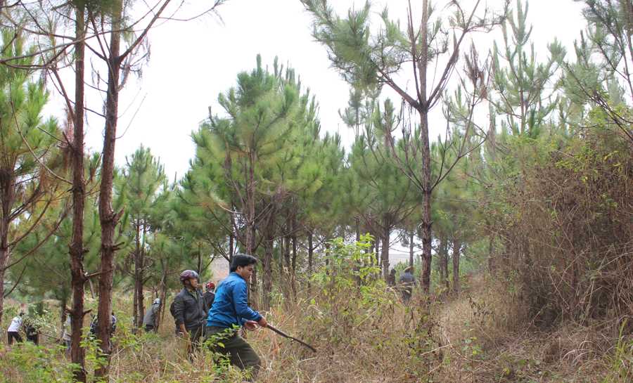 7 đơn vị ký hợp đồng ủy thác tiền chi trả DVMTR