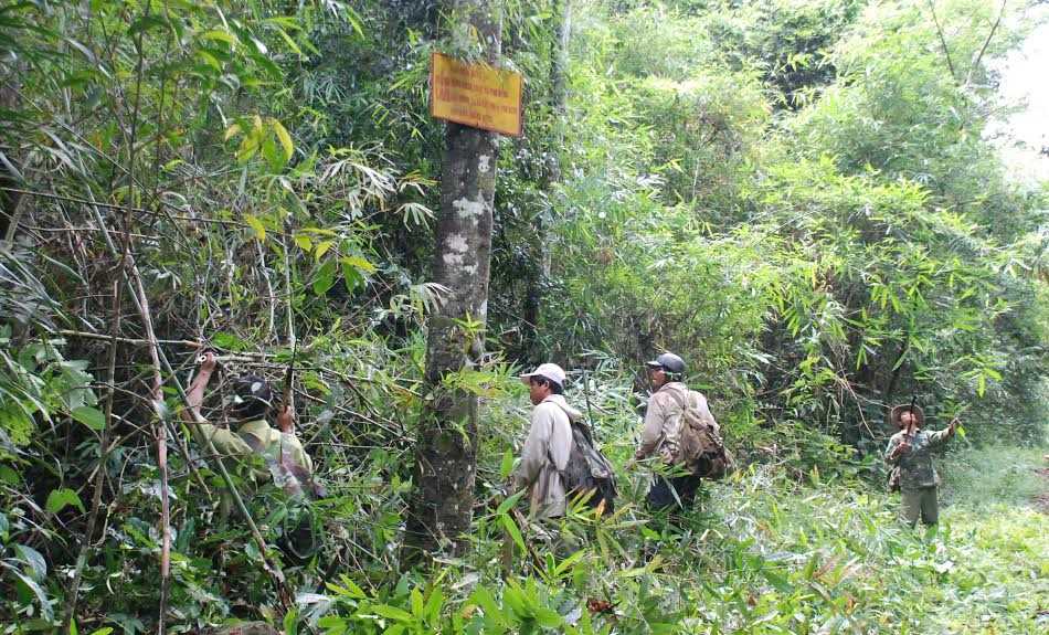 Phát huy vai trò, trách nhiệm cá nhân, cộng đồng trong quản lý, bảo vệ rừng