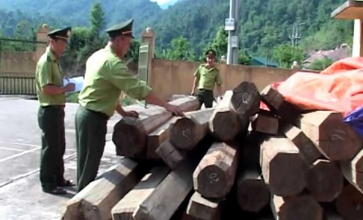 Th&aacute;ng 2 xảy ra 15 vụ vi phạm lĩnh vực quản l&yacute; l&acirc;m sản