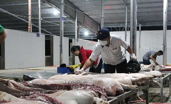 8 cơ sở giết mổ được cấp giấy chứng nhận ATVSTP