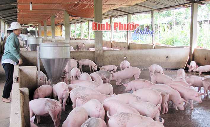 Các thủ tục hành chính thuộc lĩnh vực nông nghiệp