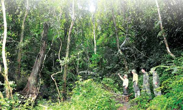 Trạm kiểm lâm Đắk Manh: Vượt khó bảo vệ rừng