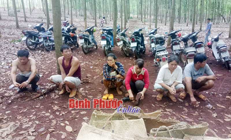 C&ocirc;ng an TX. Đồng Xo&agrave;i ngăn chặn vụ đ&aacute; g&agrave; quy m&ocirc; lớn