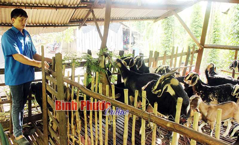 Điểm sáng giúp thanh niên tái hòa nhập cộng đồng