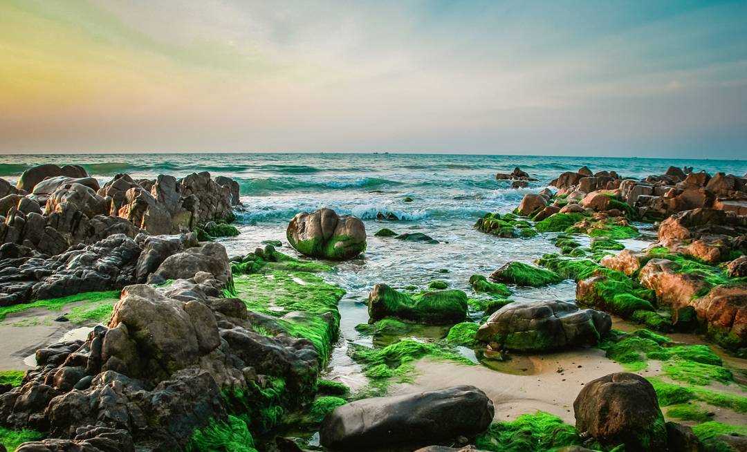 Lạc vào chốn tiên cảnh với mùa rêu biển Cổ Thạch - Bình Thuận