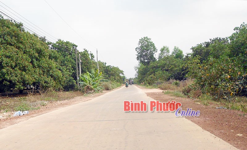 Làm đường nông thôn ở ấp vùng sâu