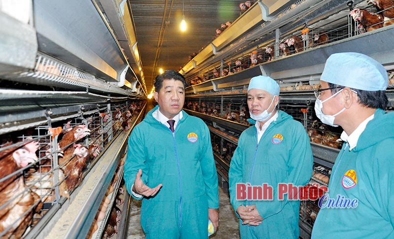 Làm nông nghiệp công nghệ cao phải quyết tâm cao