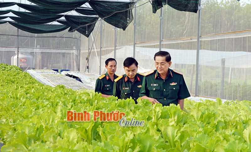 L&atilde;nh đạo Qu&acirc;n khu 7 kiểm tra c&ocirc;ng t&aacute;c chuẩn bị huấn luyện tại Trung đo&agrave;n 736