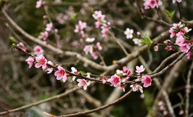 Khu vực Bắc Bộ sáng có mưa nhỏ, Nam Bộ nắng nóng 35 độ C