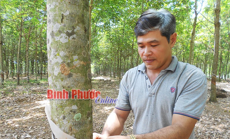 Nghị lực vượt khó của nhà nông người Mường