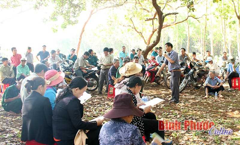 Phú Riềng: Ra quân tập huấn chăm sóc vườn điều đợt 3