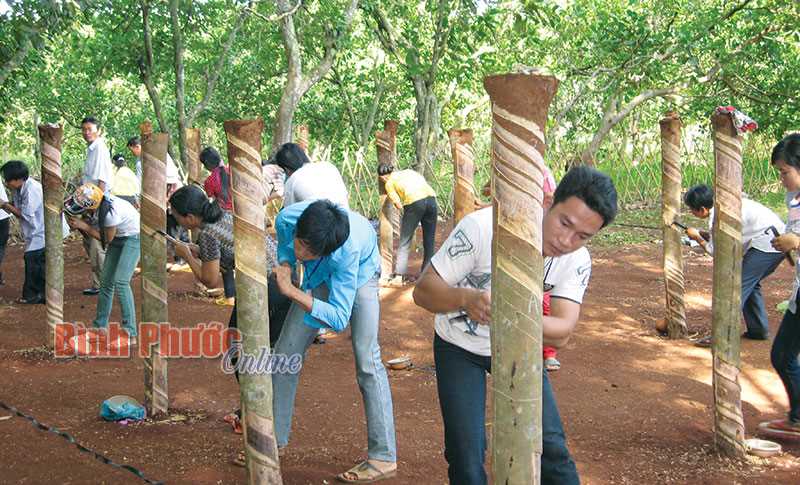 Chung tay để “Không còn nạn đói”