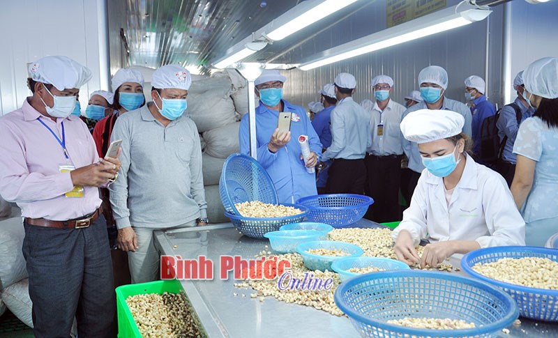 Phước Long: Anh dũng trong đấu tranh, anh h&ugrave;ng trong lao động