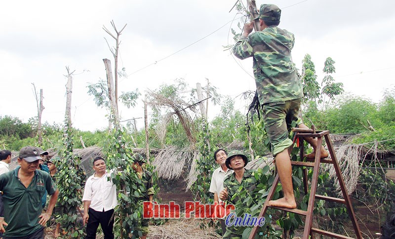 Tất cả v&igrave; người d&acirc;n v&ugrave;ng bi&ecirc;n