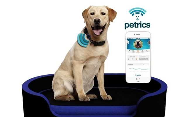 Thiết bị thông minh phục vụ thú cưng tạo sức hút lớn tại CES 2018