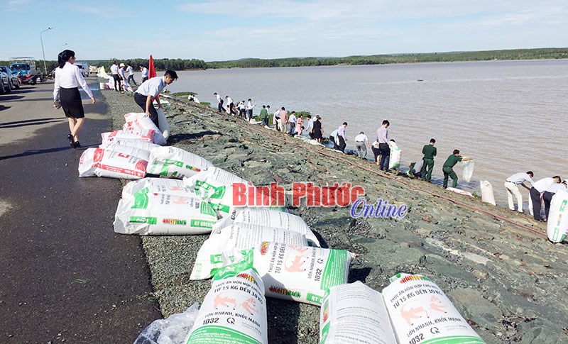 Chung tay bảo vệ nguồn lợi thủy sản