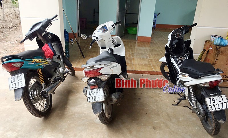 Tạm giữ 3 xe gắn m&aacute;y nghi đưa sang Campuchia ti&ecirc;u thụ